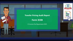 Transfer pricing audit report in form 3CEB